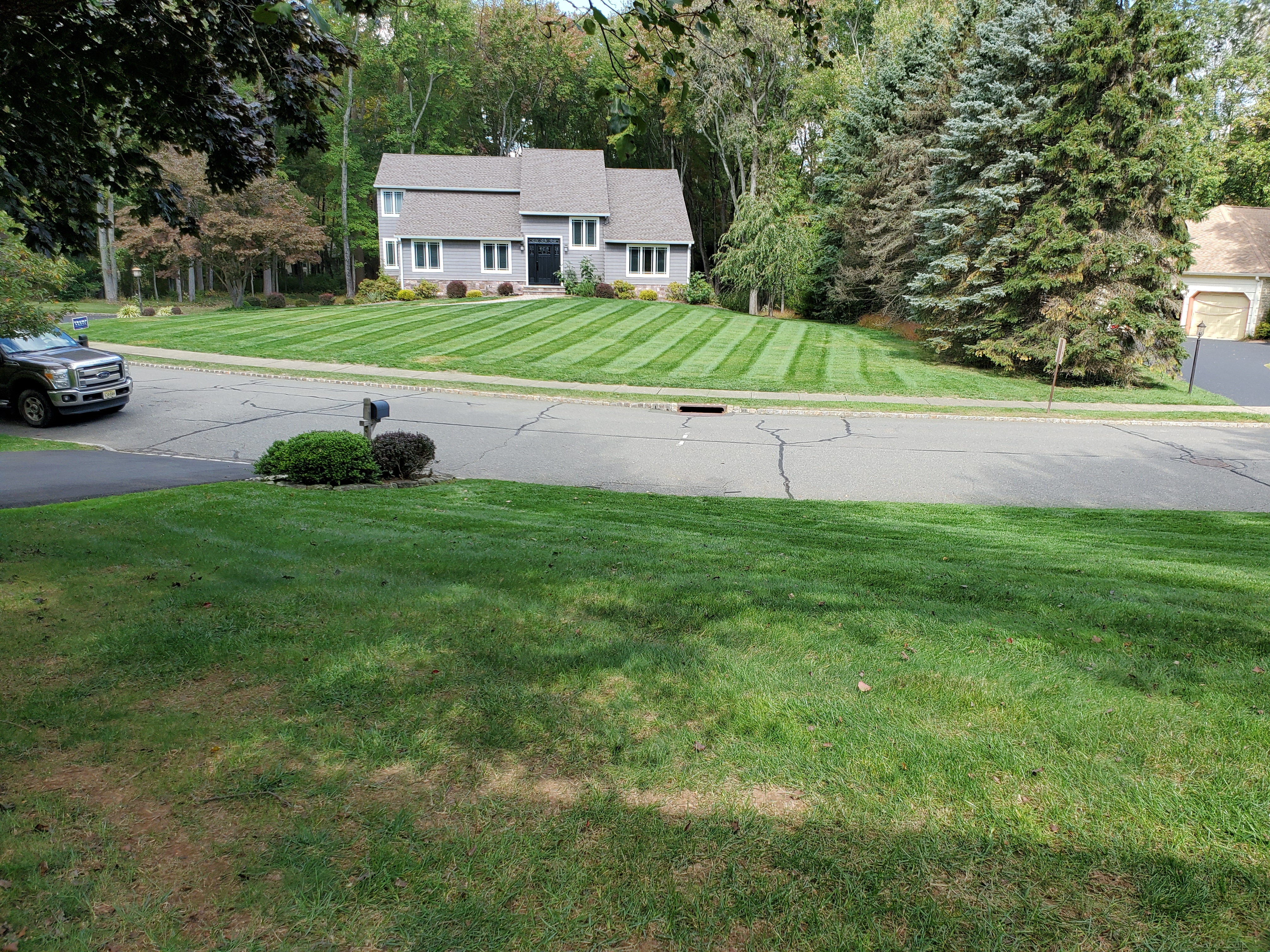 STAGAARD LANDSCAPING LLC logo